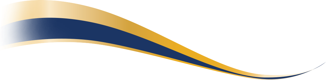 navygold ribbon